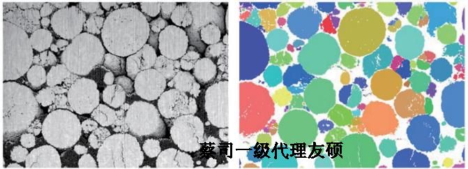 FIB双束新余扫描电镜crossbeam